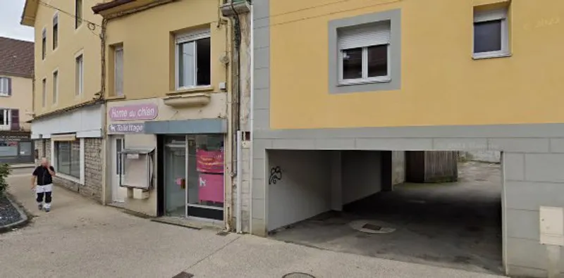 Toilettage Home du chien