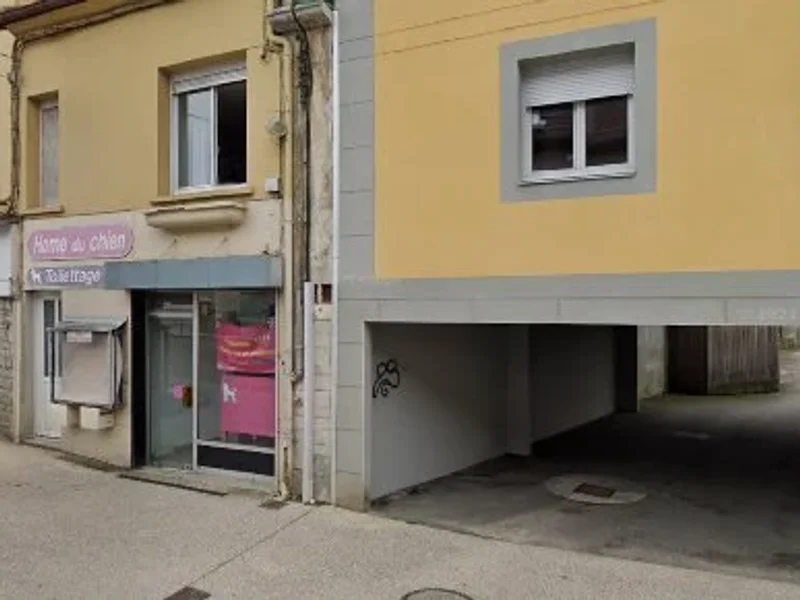 Toilettage Home du chien