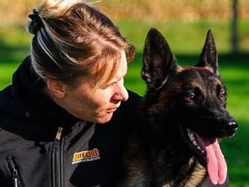 Educ O Top - Educateur & Pension Canine