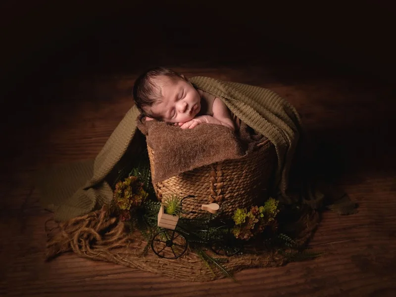 Daphné C photographie