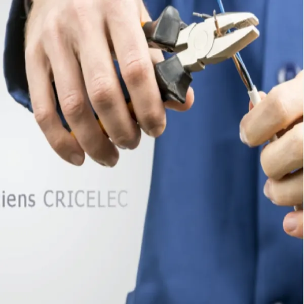 CRICELEC