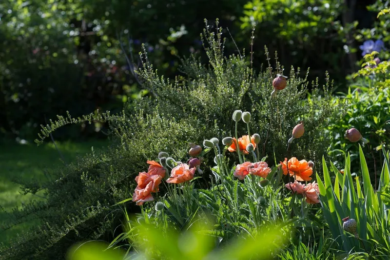 Jardin de la Ferrière