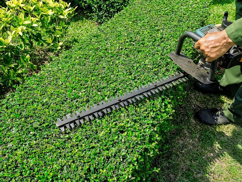 Espaces Verts Jolivet