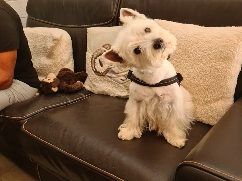 Clinique vétérinaire Ledonia