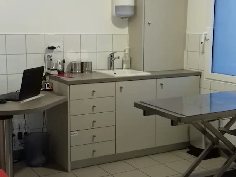 Cabinet Vétérinaire Des Plateaux