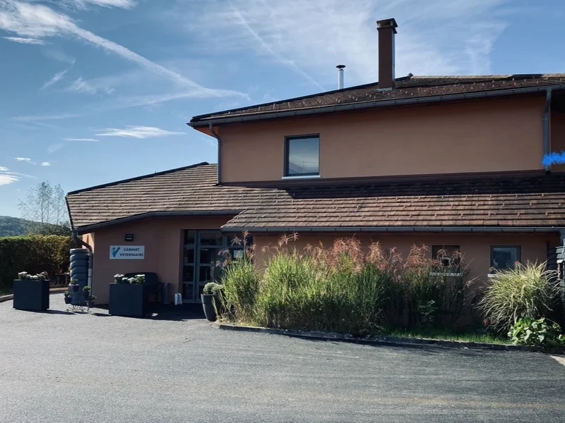 cabinet veterinaire Remy Aurélie