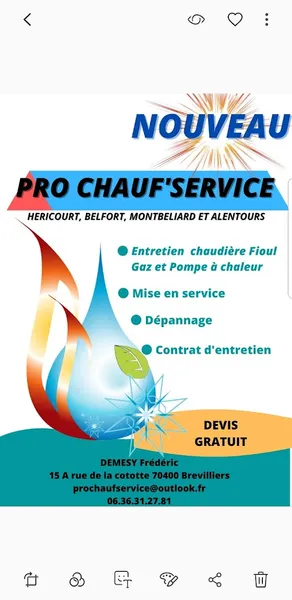 Pro chauf'service