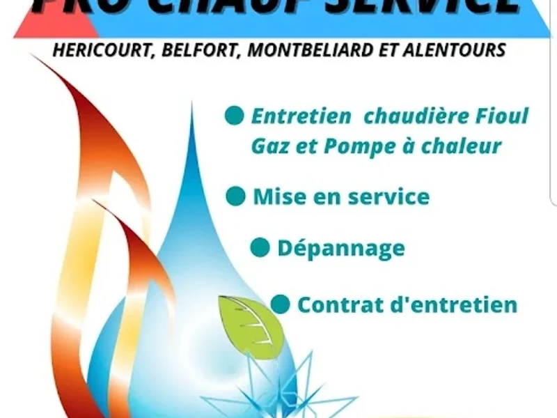 Pro chauf'service