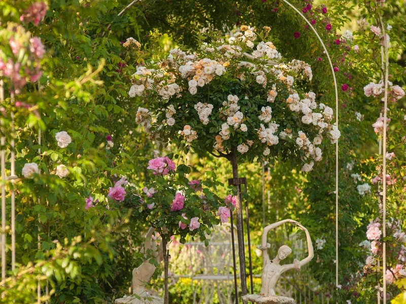 Le Moulin de la Mangue