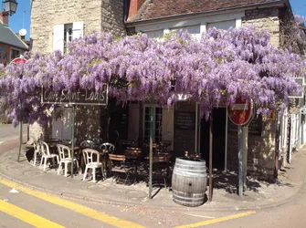 Les 12 caves à vin de Nièvre