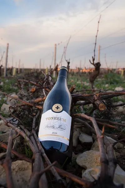 Caves de Pouilly sur Loire