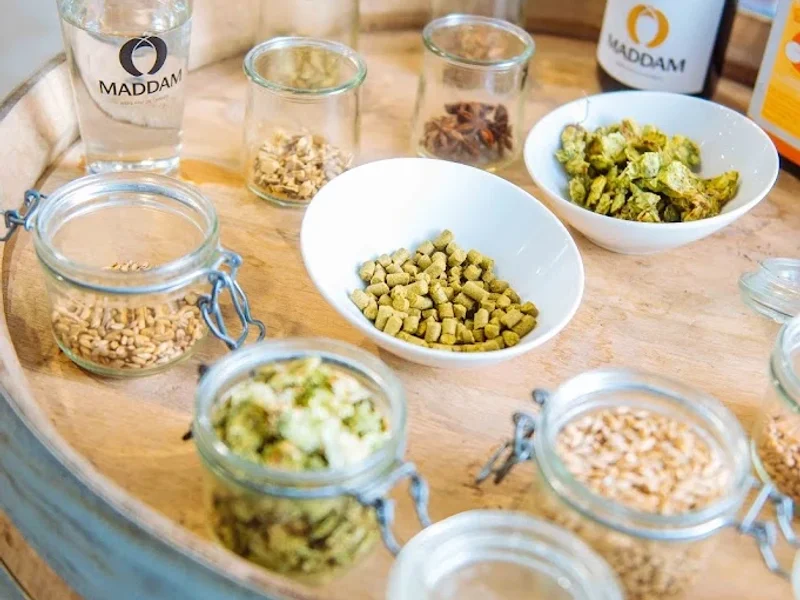 Maddam - Bière biologique et artisanale de Chablis | Brasserie de Chablis