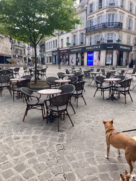 Le Point Gourmand