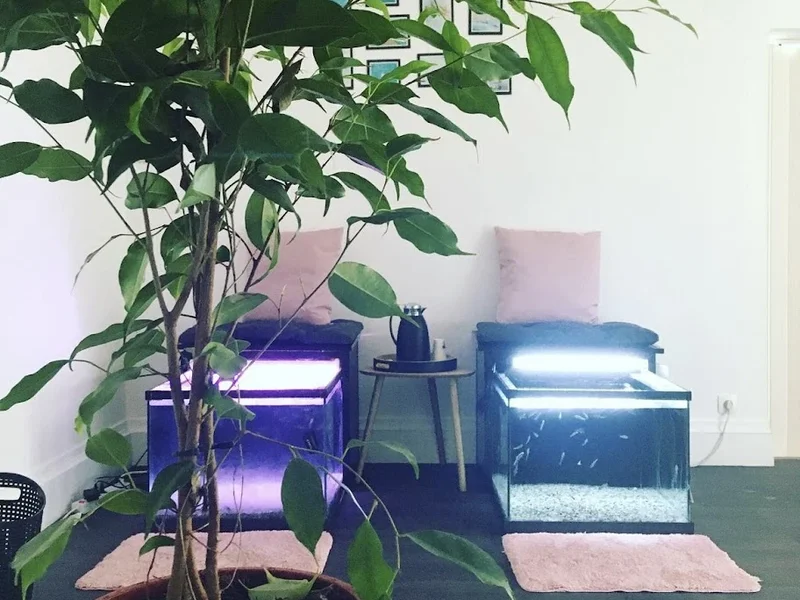 Instant bien-être o’xerre