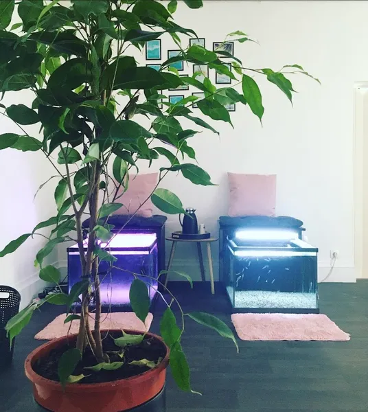 Instant bien-être o’xerre