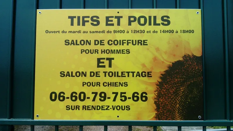 TIFS ET POILS