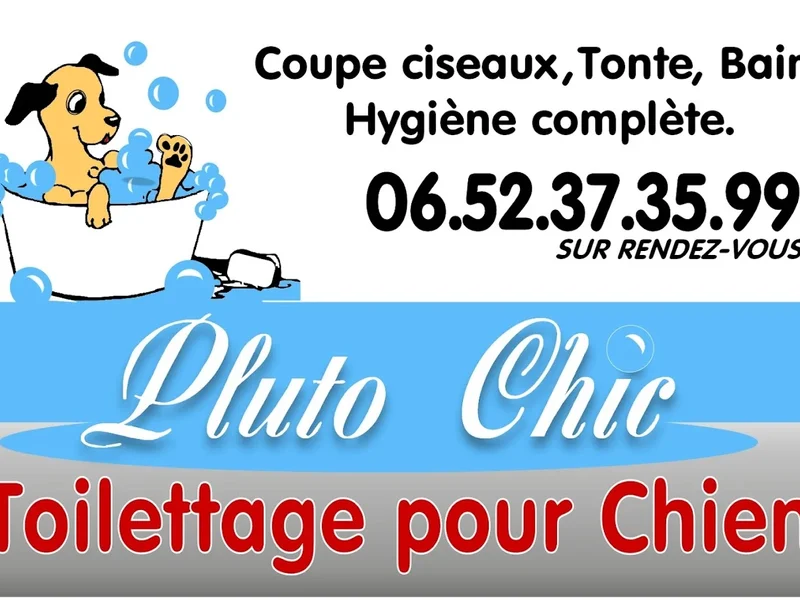PLUTO CHIC toilettage pour chiens à Migennes