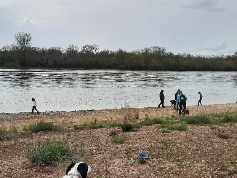 Club canin Canisports58 Bouge avec ton chien