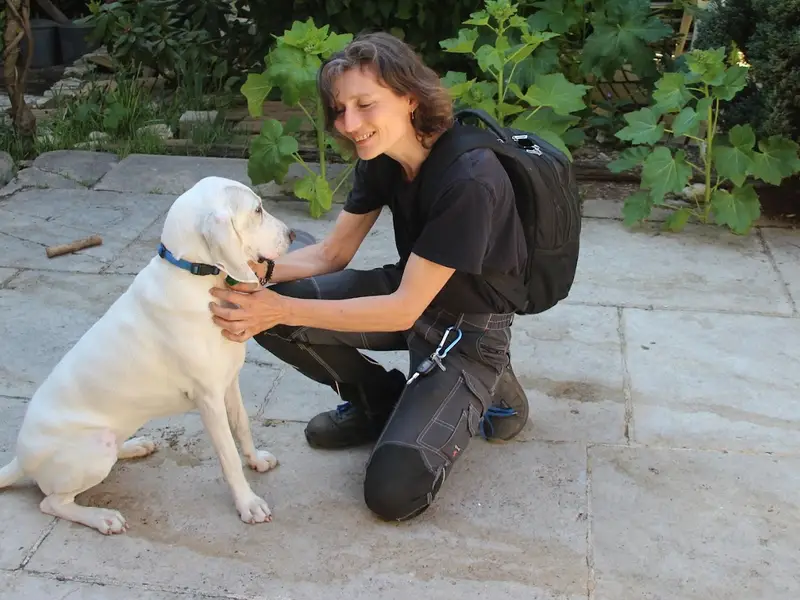 éducatrice comportementaliste canin Auxerre Diges Sonia Stagni Sos Educani