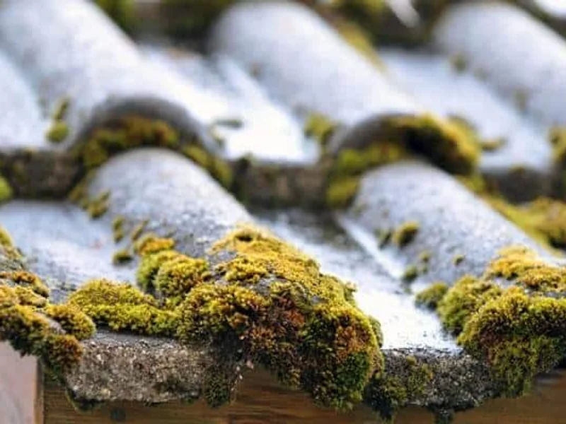 Habitat Clean AUXERRE Démoussage toiture, Nettoyage Façade, Désamiantage, Traitement Charpente.