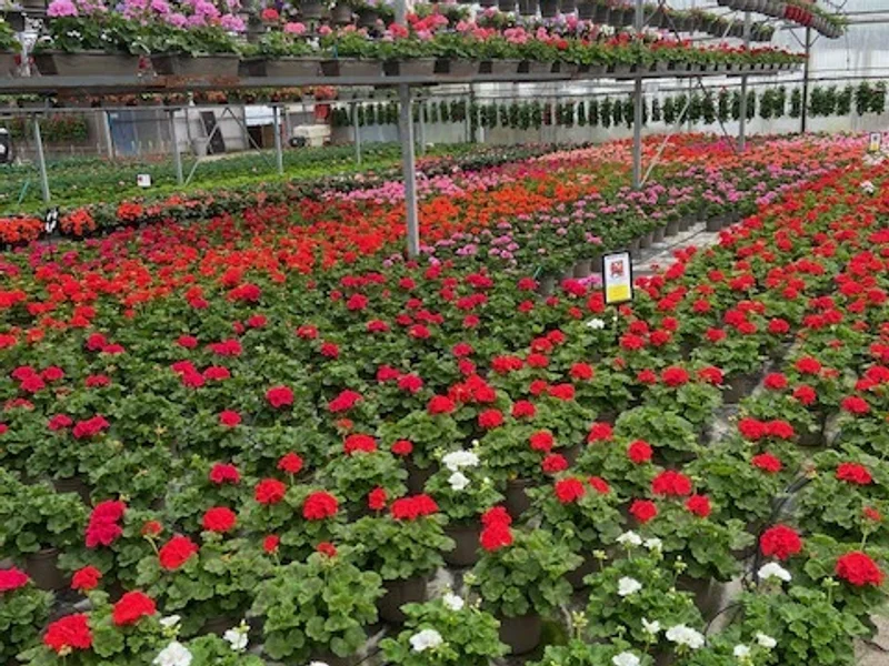 Les Etablissements Huguet