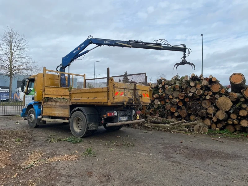 Rousseau Arnaud /élagage-abattage-dessouchage