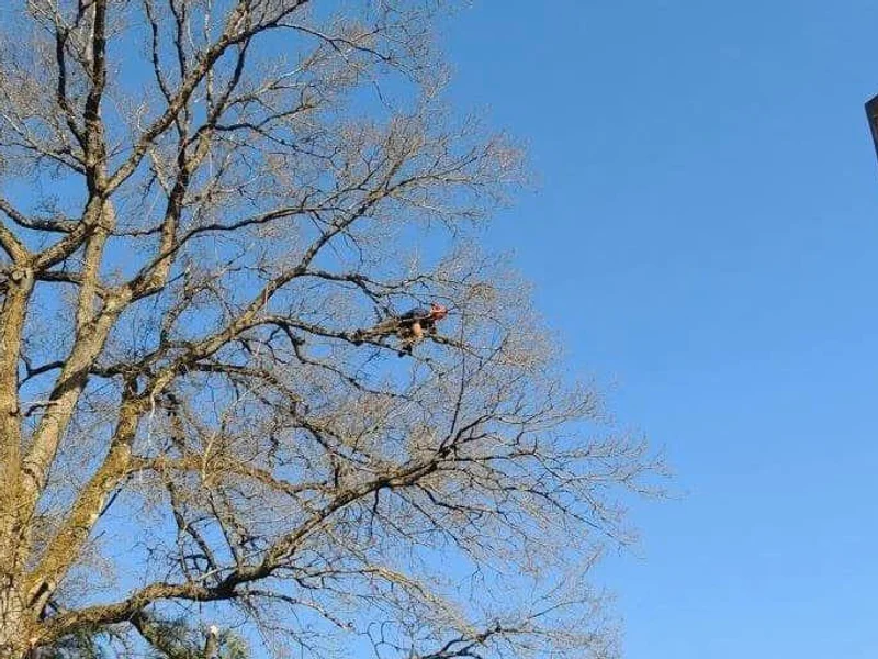 Corberon Environnement SARL