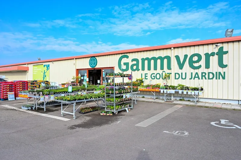 Gamm vert