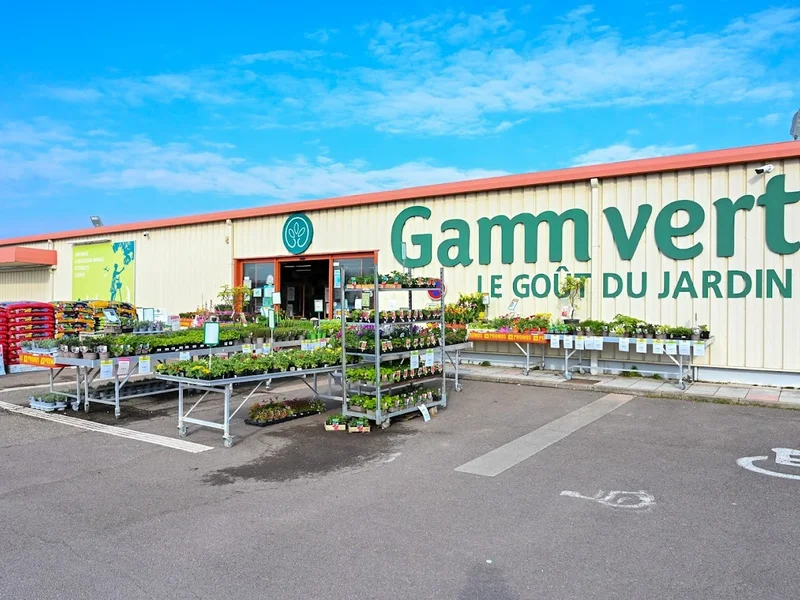 Gamm vert