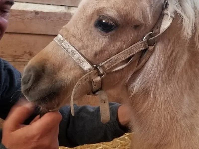 Cabinet vétérinaire de Chaluzy