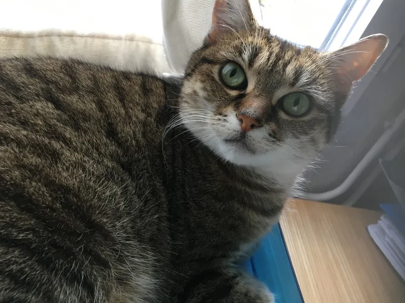 clinique des Vaux d'Yonne