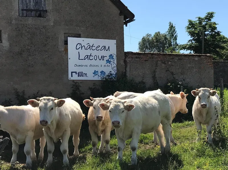 Château Latour chambres d'hôtes et gîtes