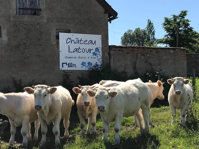 Château Latour chambres d'hôtes et gîtes