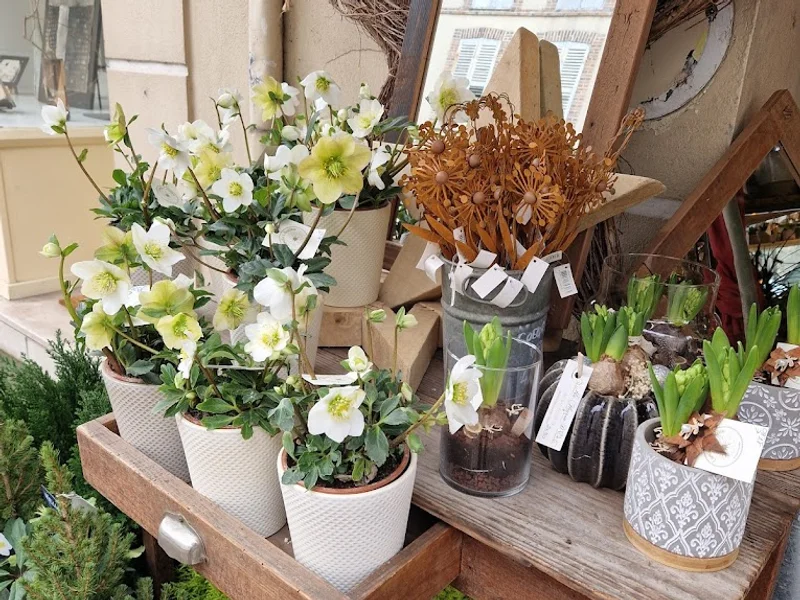 Au Fleuron D'or ~ Camille & Aurélien