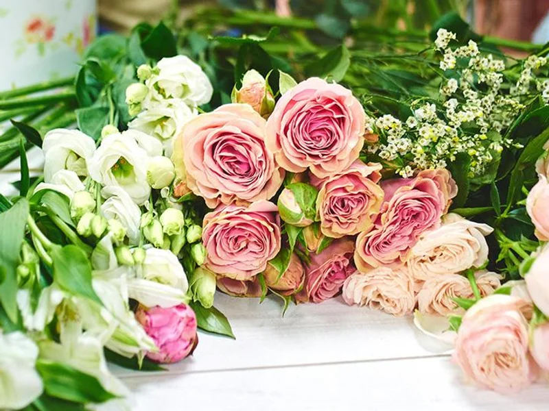 LE JARDIN DES PLANTES