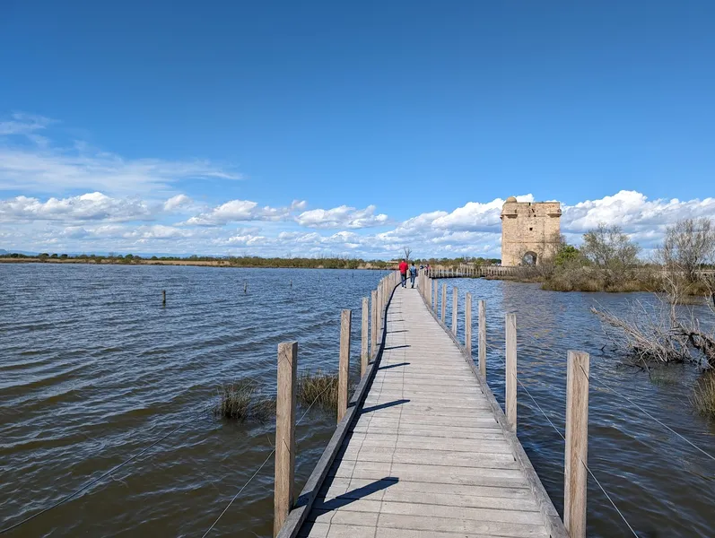 LES PRES ET MARAIS DE LA TOUR CARBONNIERE