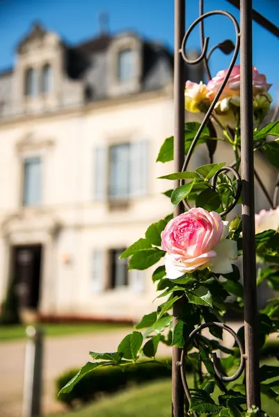 Château & Spa de la Cueillette