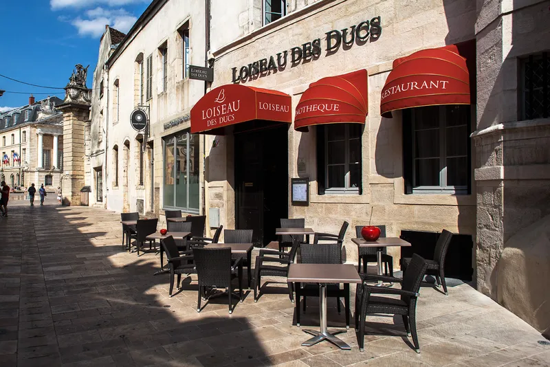 Loiseau des Ducs