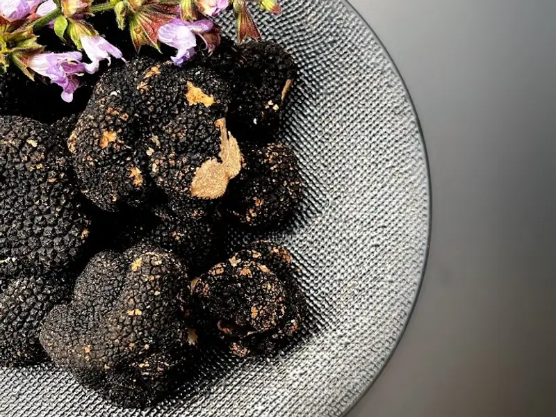 Ô P'tit Repère Du Goût