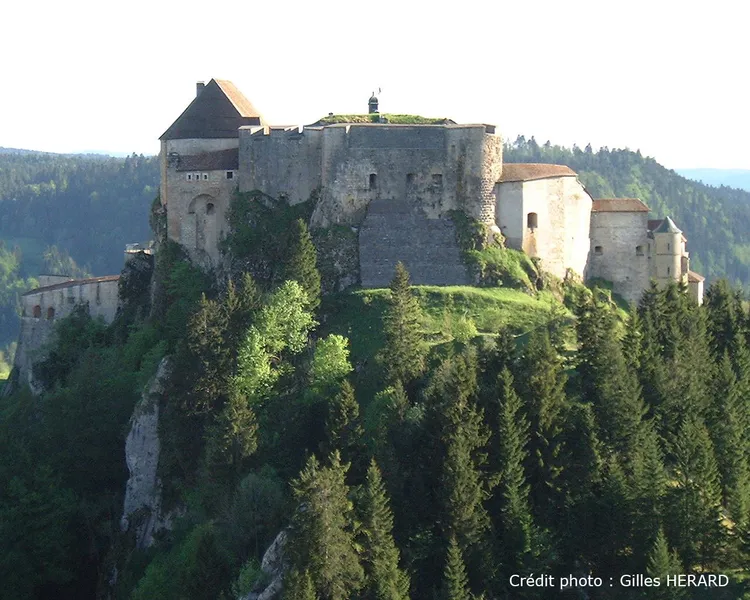 Château de Joux