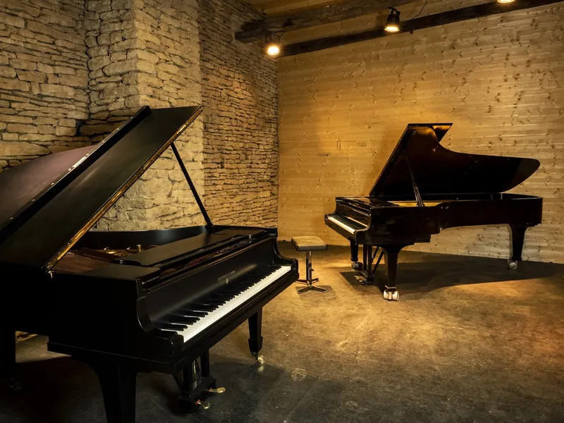 Le Chant des prés - Salle de musique en Bourgogne du sud - Steinway