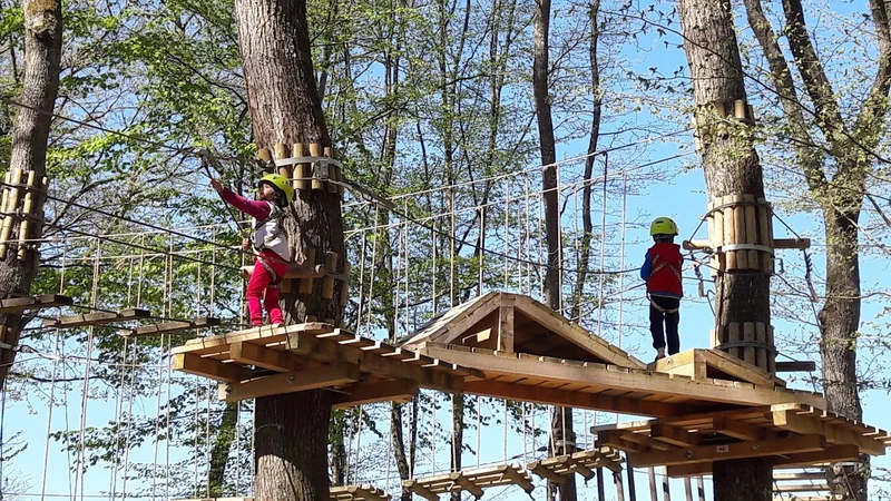 Acrogivry Les Aventures en Forêt