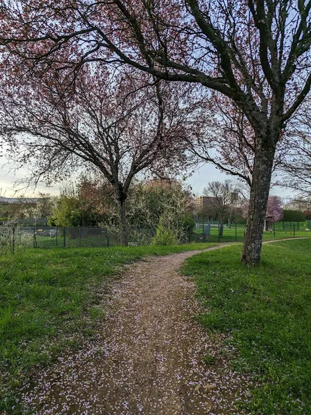 Parc de la Toison d'Or