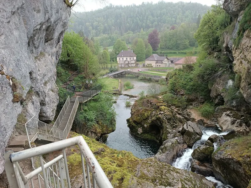 Les pertes de l'Ain