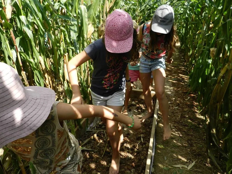 Labyrinthe Maïs Foucherans