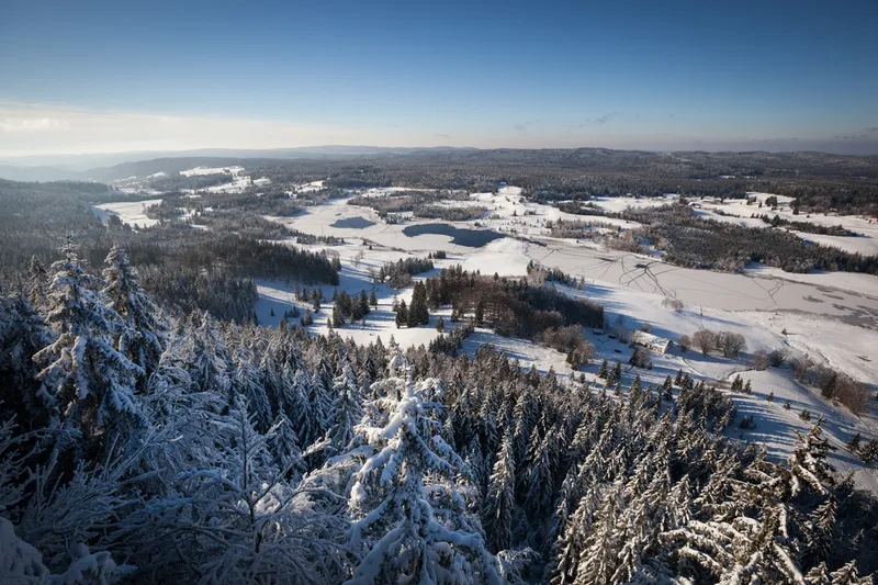 Parc naturel régional du Haut-Jura