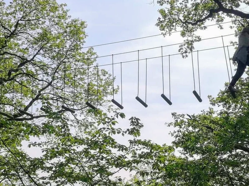 Parc Aventure du Thureau - AB Loisirs - Auxerre - Yonne (parc aventure, tir à l'arc, chasse aux énigmes)