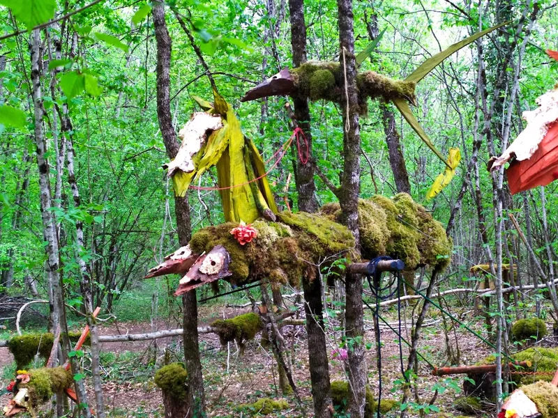 La forêt des Géants Verts