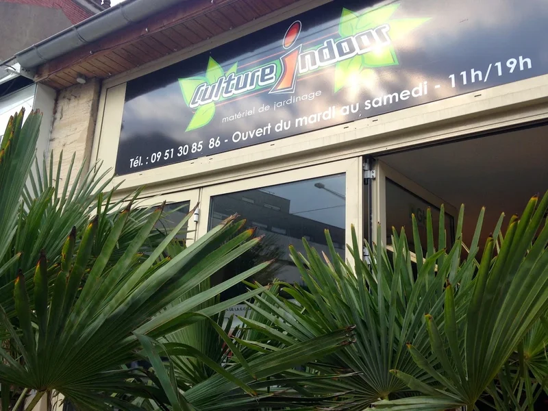 Culture Indoor Dijon