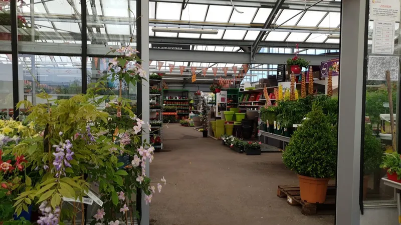 Jardiland Luxeuil-Froideconche